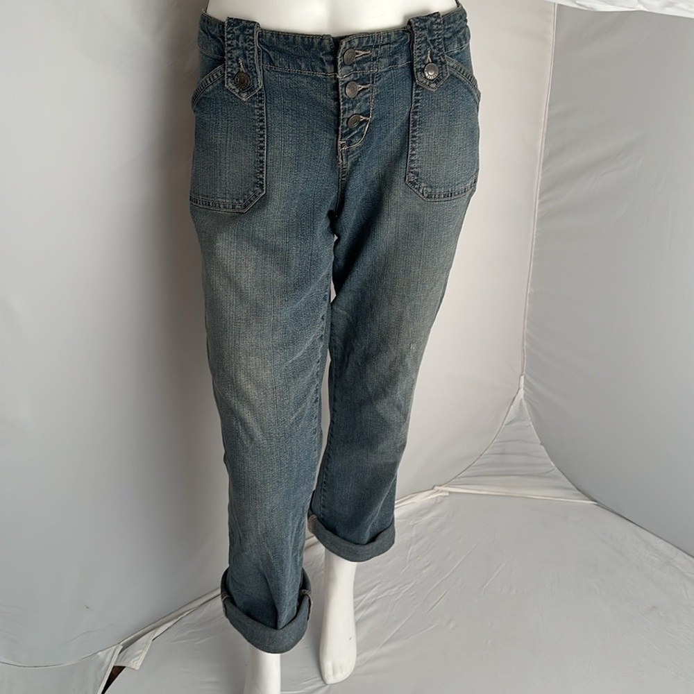 Express vintage Y2K button fly stretch cropped distressed jeans